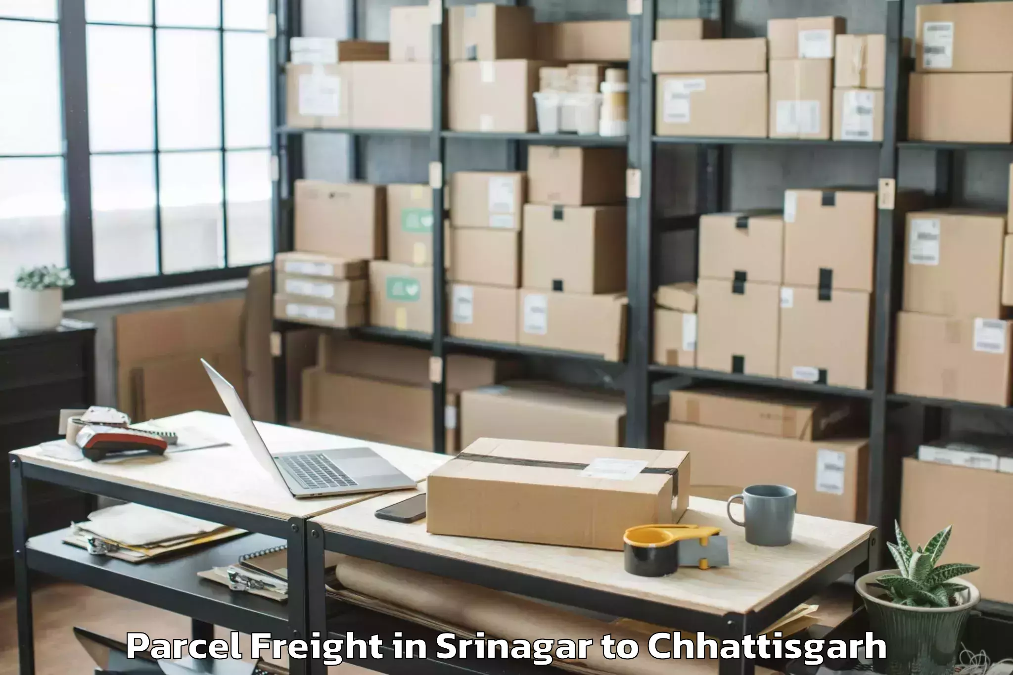 Professional Srinagar to Chhuikhadan Parcel Freight